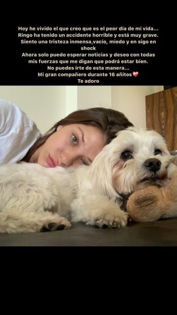 Anita Matamoros ha compartido varias imágenes junto a Ringo, su perro que ahora se debate entre la vida y la muerte