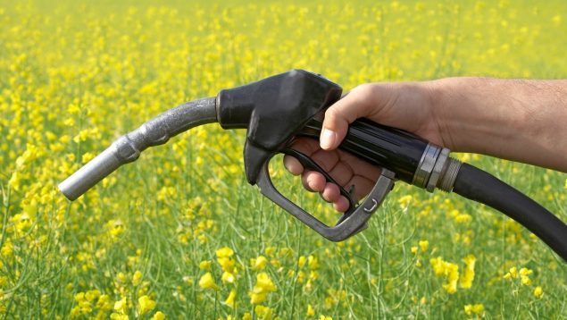 Biocarburantes españa