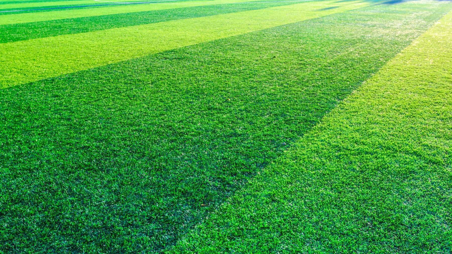 El truco más eficaz de un jardinero para limpiar el césped artificial y dejarlo como nuevo en minutos