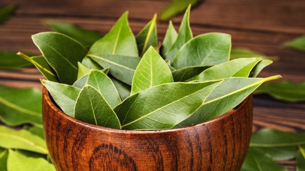 Todo el mundo está poniendo una hoja de laurel en el baño y tiene muchísimo sentido