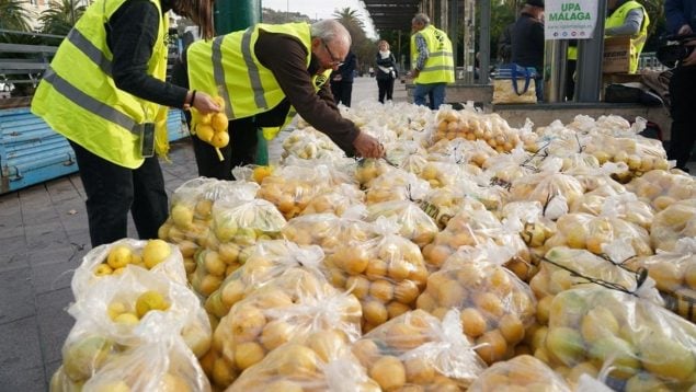 Un grupo de agricultores reparte tres toneladas de limones en Málaga