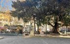Plaza Mercat, Palma Plaza Mercat