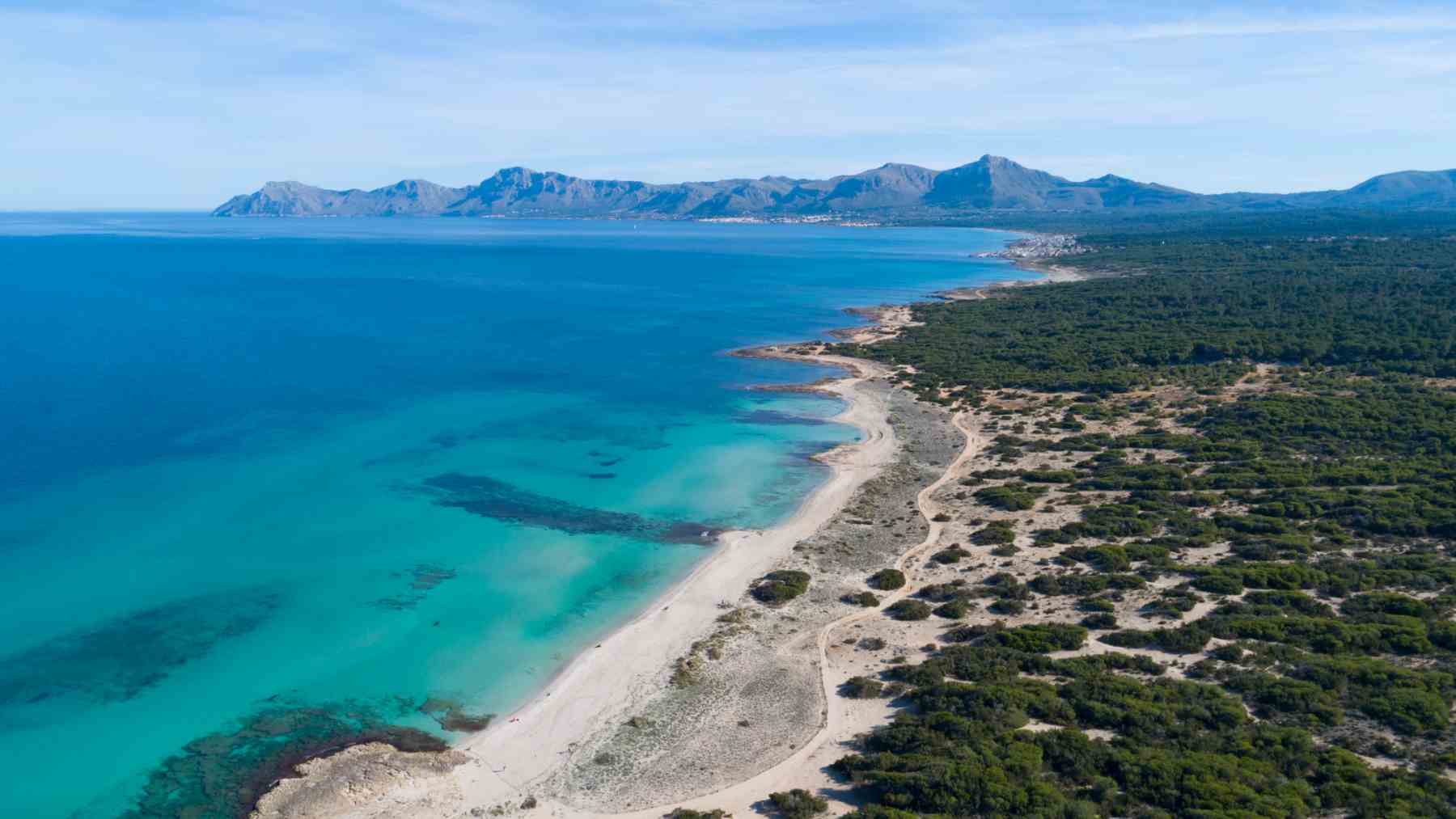 Mallorca participa en Fitur 2024 con una propuesta de turismo sostenible y responsable.