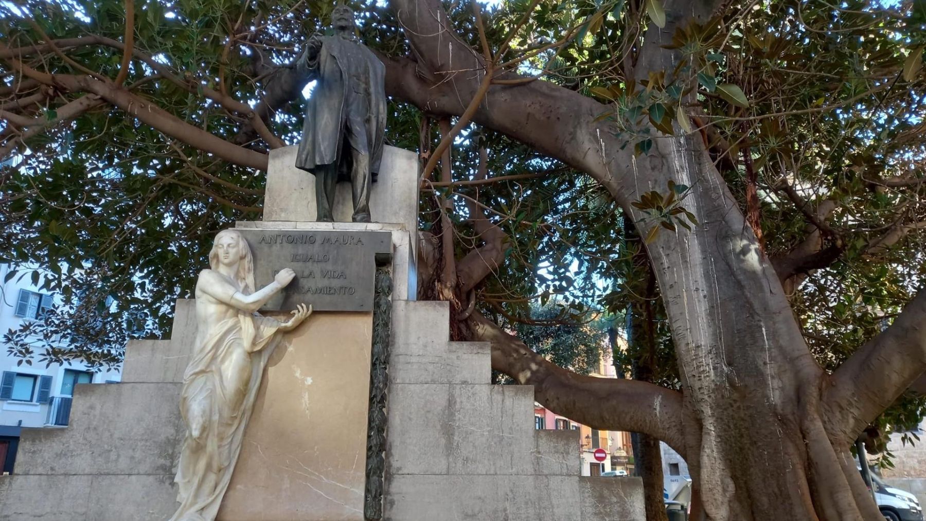 El ficus centenario y el monumento dedicado a Antonio Maura.