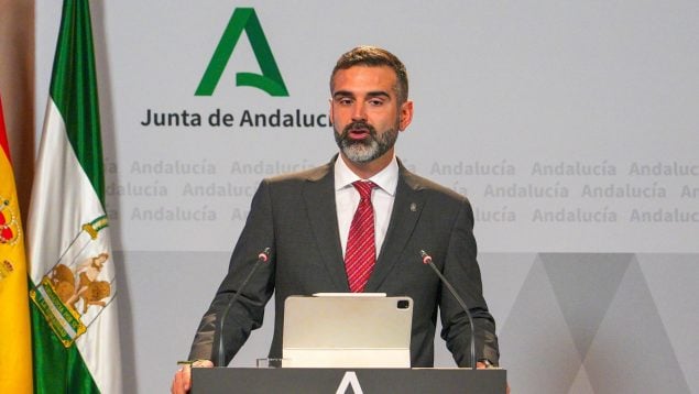 El consejero portavoz de la Junta de Andalucía, Ramón Fernández-Pacheco (EUROPA PRESS).