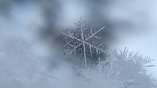 Energía infalible en la nieve: powerbanks resistentes al frío