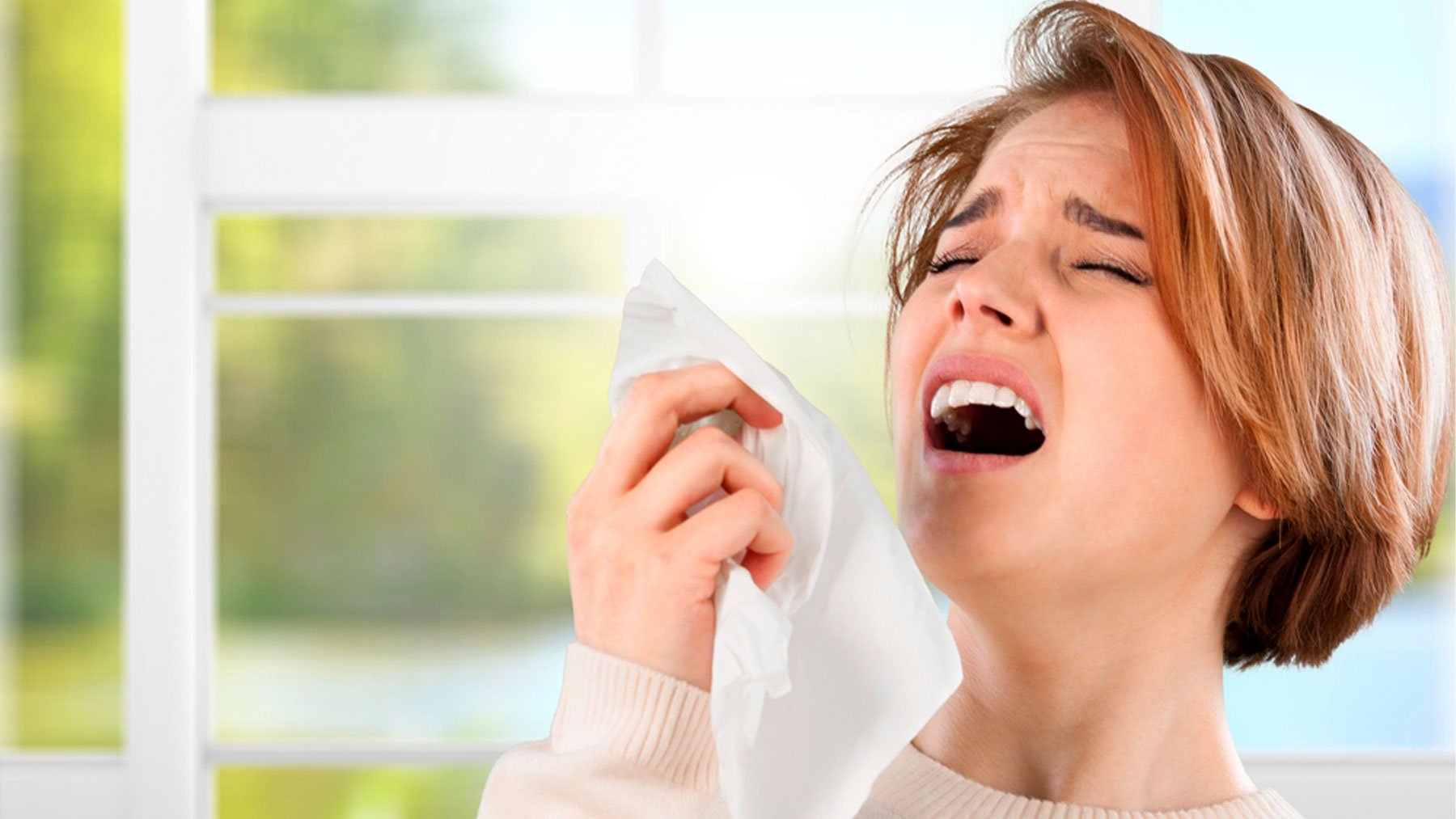 Cuando se siente la necesidad de estornudar, el cuerpo está respondiendo a la irritación de las vías respiratorias.