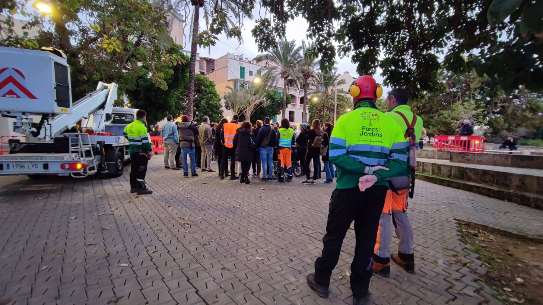 Protesta vecinal y ecologista para impedir la tala de los árboles bellasombra de la plaza Llorenç Villalonga de Palma.