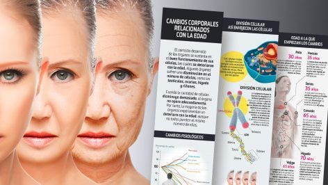 Estos son los cambios corporales que vas a sufrir cada década