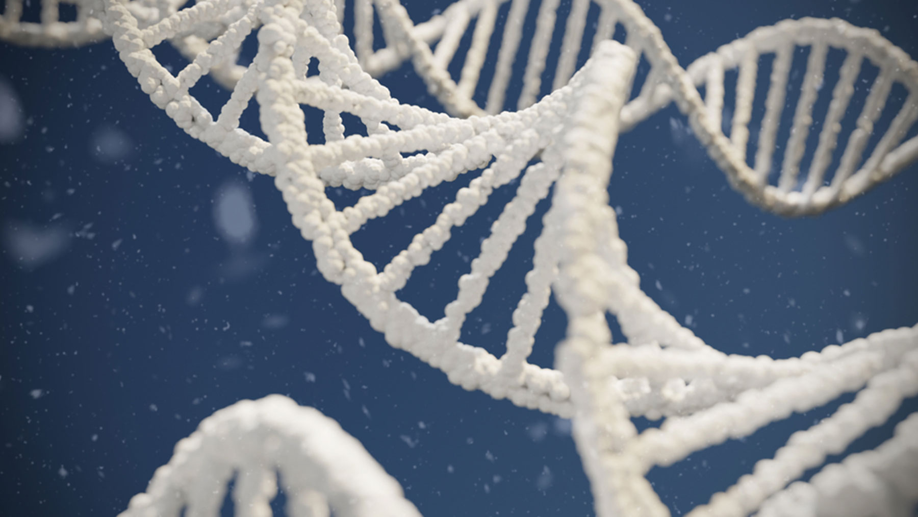 Analizando el exoma podemos detectar mutaciones en los genes, causantes de una enfermedad concreta.