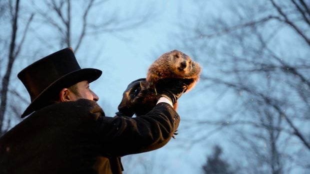 Día de la Marmota