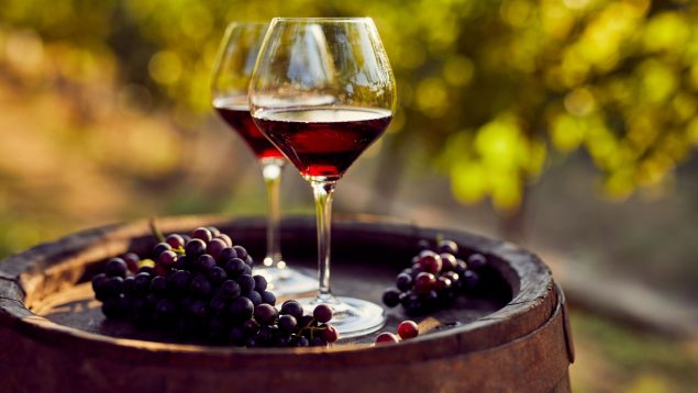 Las 9 fiestas del vino más importantes de España: no te las puedes perder