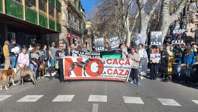 Caza con perros, Baleares, Palma, Ley Bienestar Animal, animalistas, manifestación