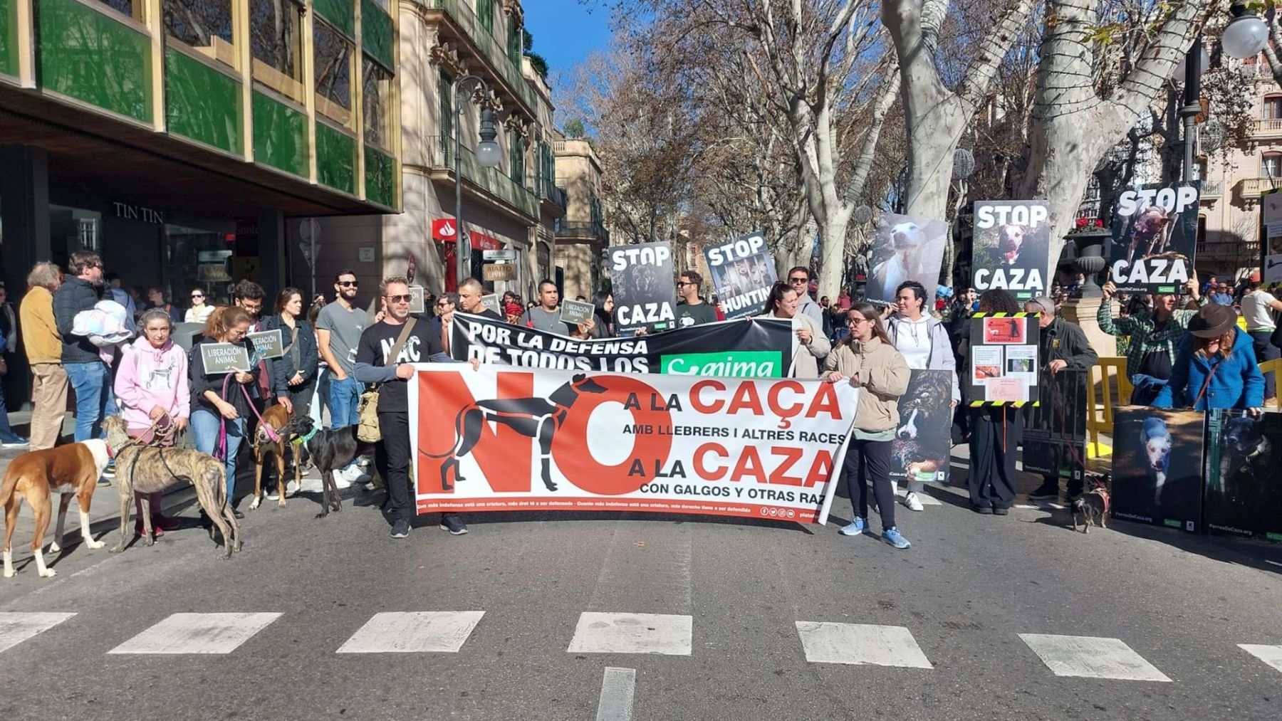 Manifestación en Palma para decir un «no rotundo a la caza con perros».