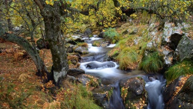 La ruta que te trasladará a Finlandia sin salir de Madrid: perfecta para hacer en familia