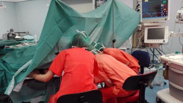 Los hospitales públicos de Baleares trasplantaron 132 órganos en 2023
