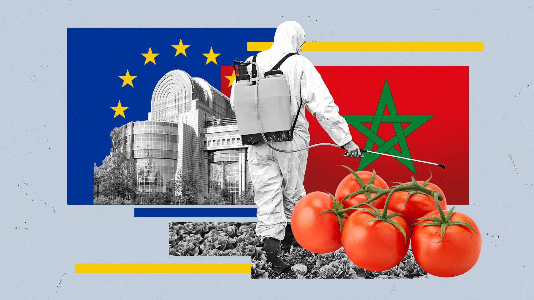 Sánchez permite que los tomates marroquíes no paguen tasas aduaneras por entrar en territorio comunitario.