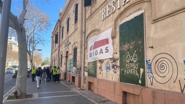 grafitis, Baleares, inseguridad, Mallorca, Ayuntamiento
