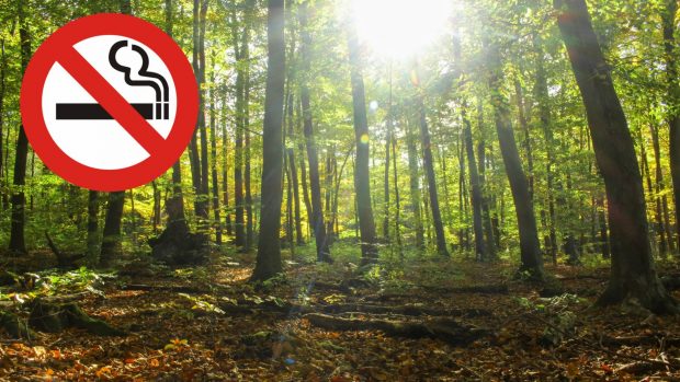 Prohibirán fumar espacios naturales