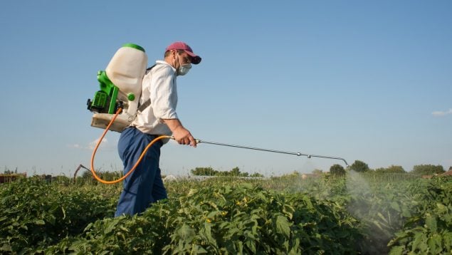Agricultores pesticidas