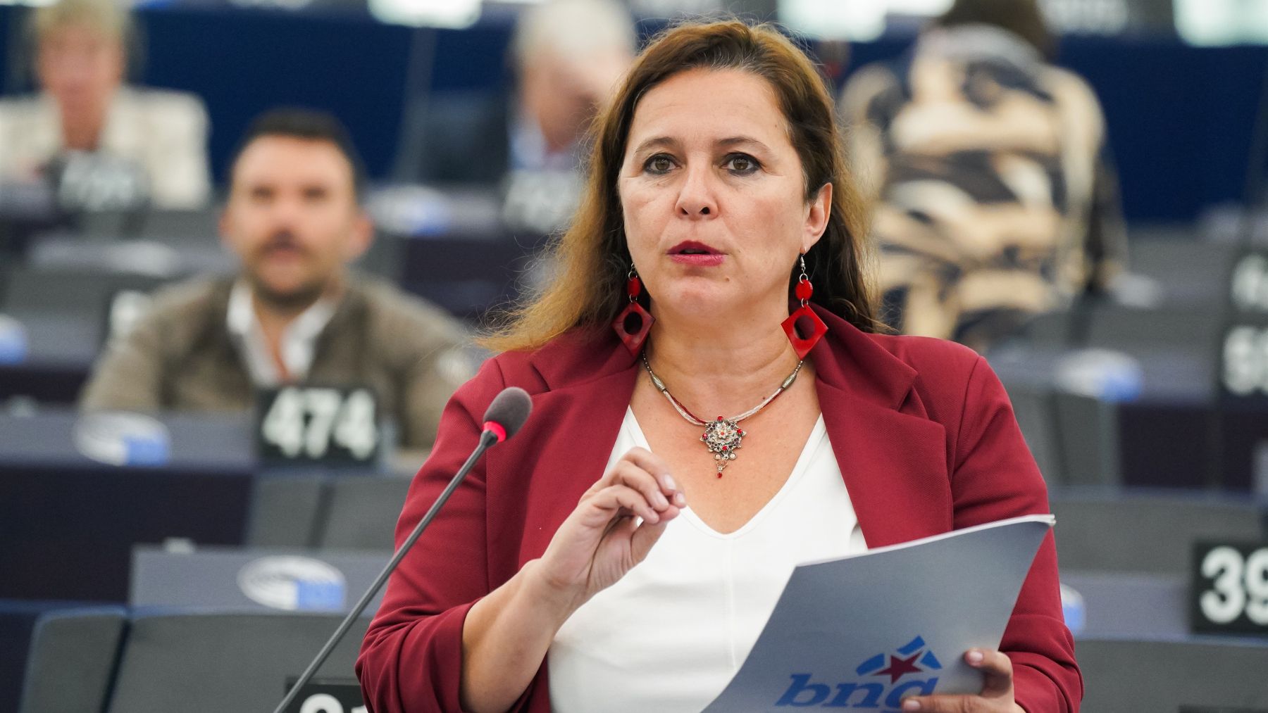 Ana Miranda, eurodiputada del BNG.
