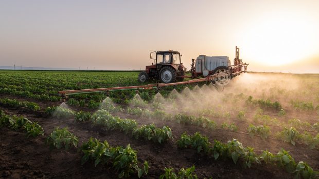 Pesticidas agricultura