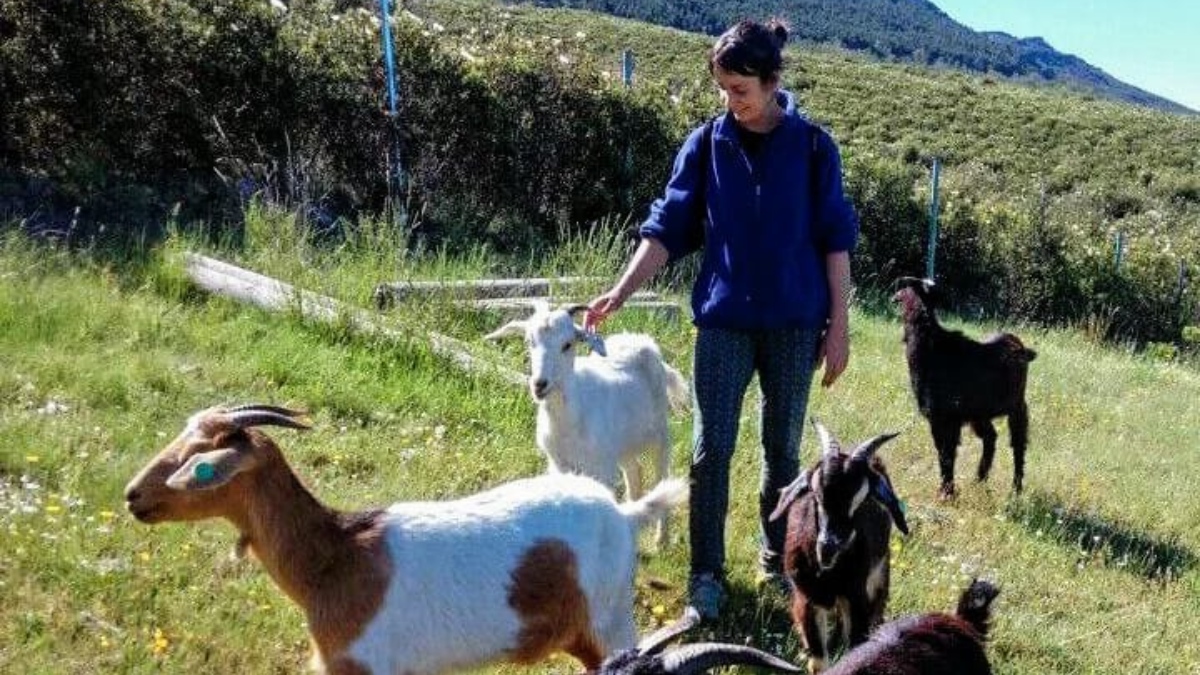 Clara Benito se vino desde el barrio de Malasaña en Madrid, a la sierra norte convirtiéndose en pastora profesional