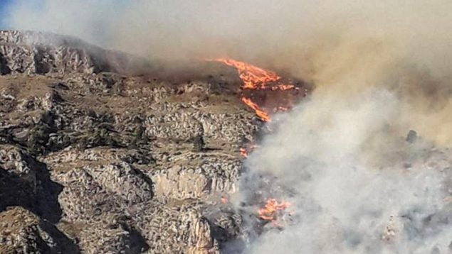 incendios forestales Alicante