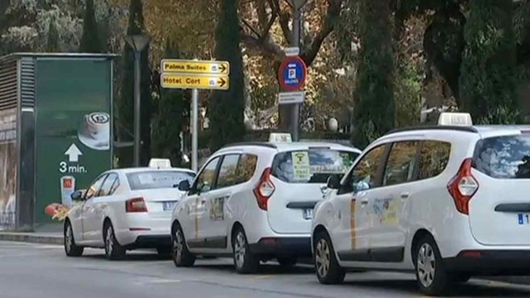 Taxis de Palma en una parada.