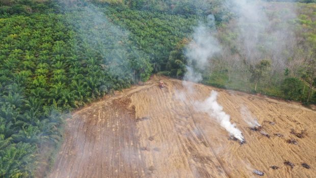 quema bosque amazonico