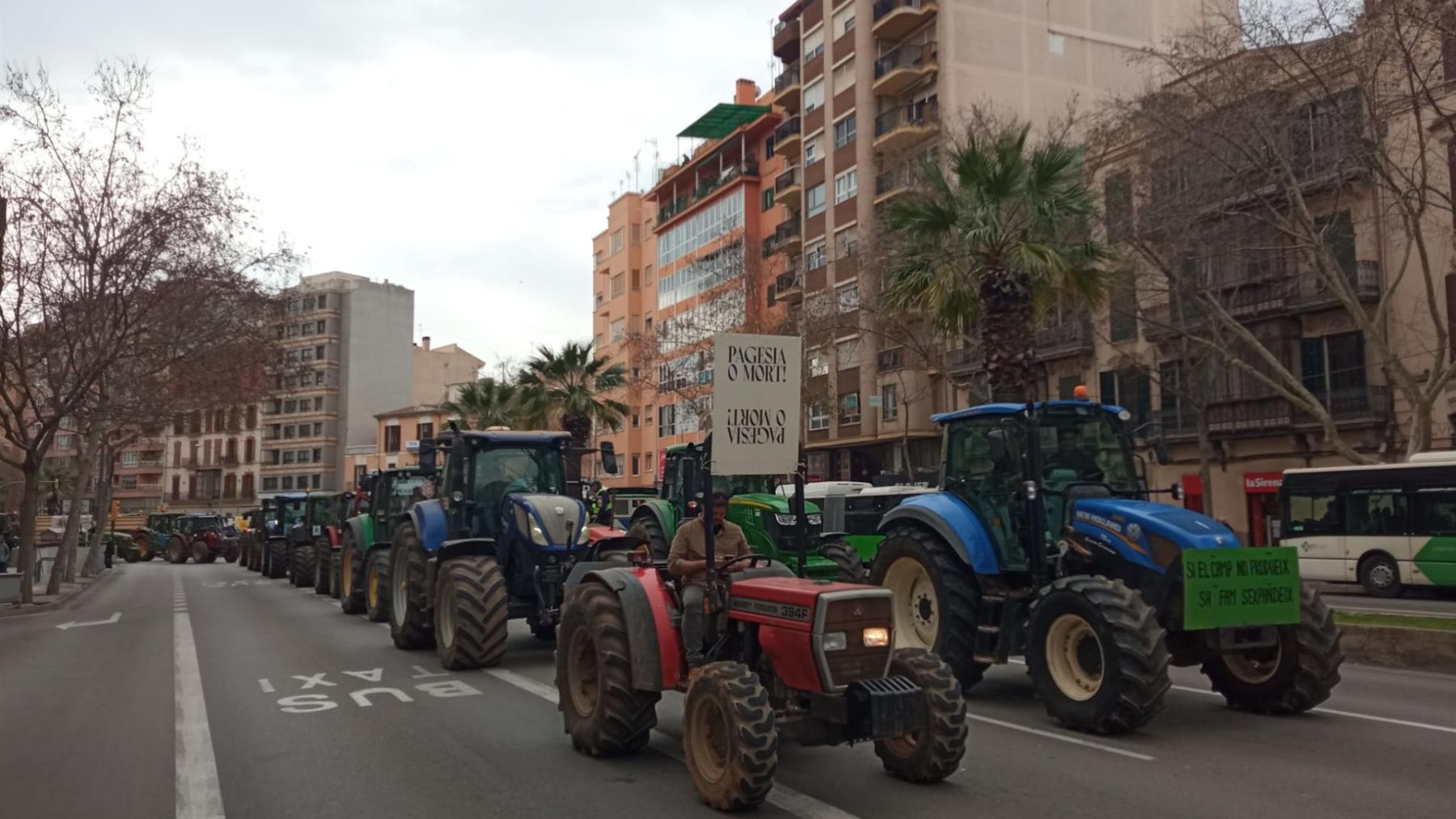 Los tractores llegan al centro de Palma. (Europa Press)