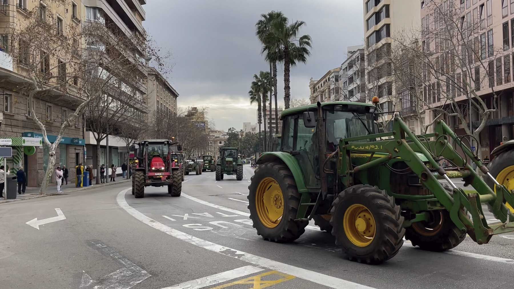 Los tractores en las Avenidas de Palma.