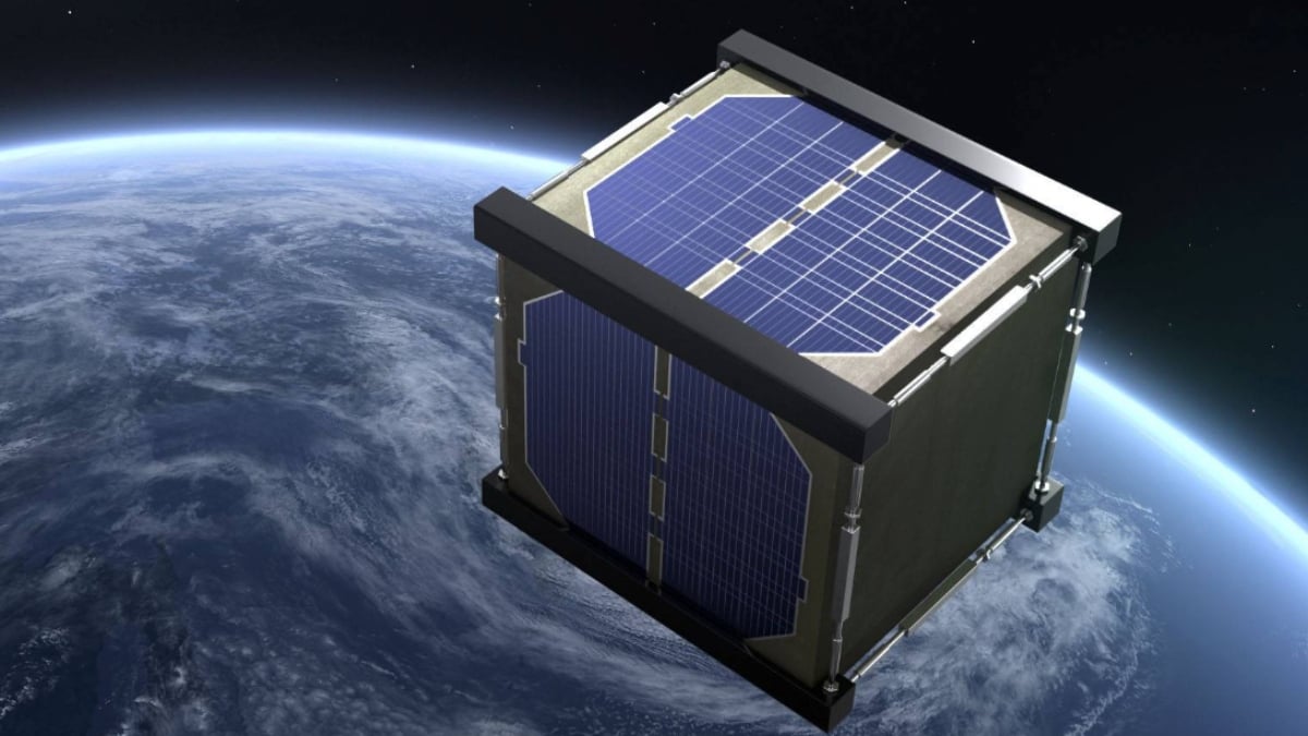 El satélite Lignosat se construirá con madera de magnolia, un material que ha sido probado en la Estación Espacial Internacional