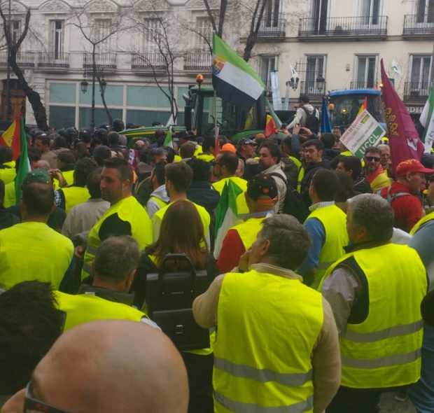 tractores, manifestación, agricultores, madrid