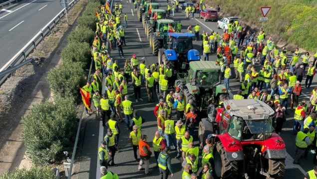 Máxima tensión en los enfrentamientos entre agricultores y Policía en Algeciras.