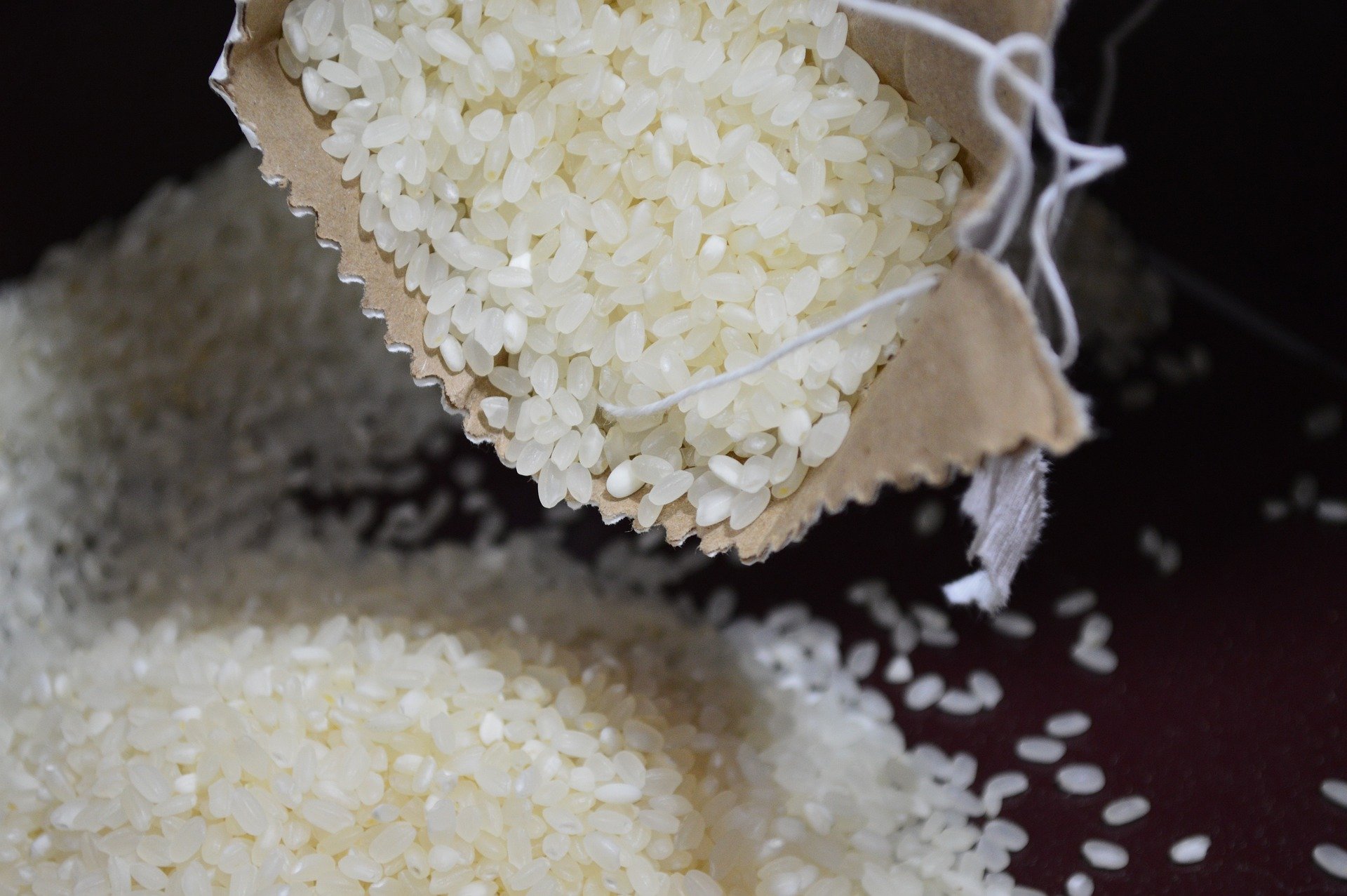 Arroz con leche
