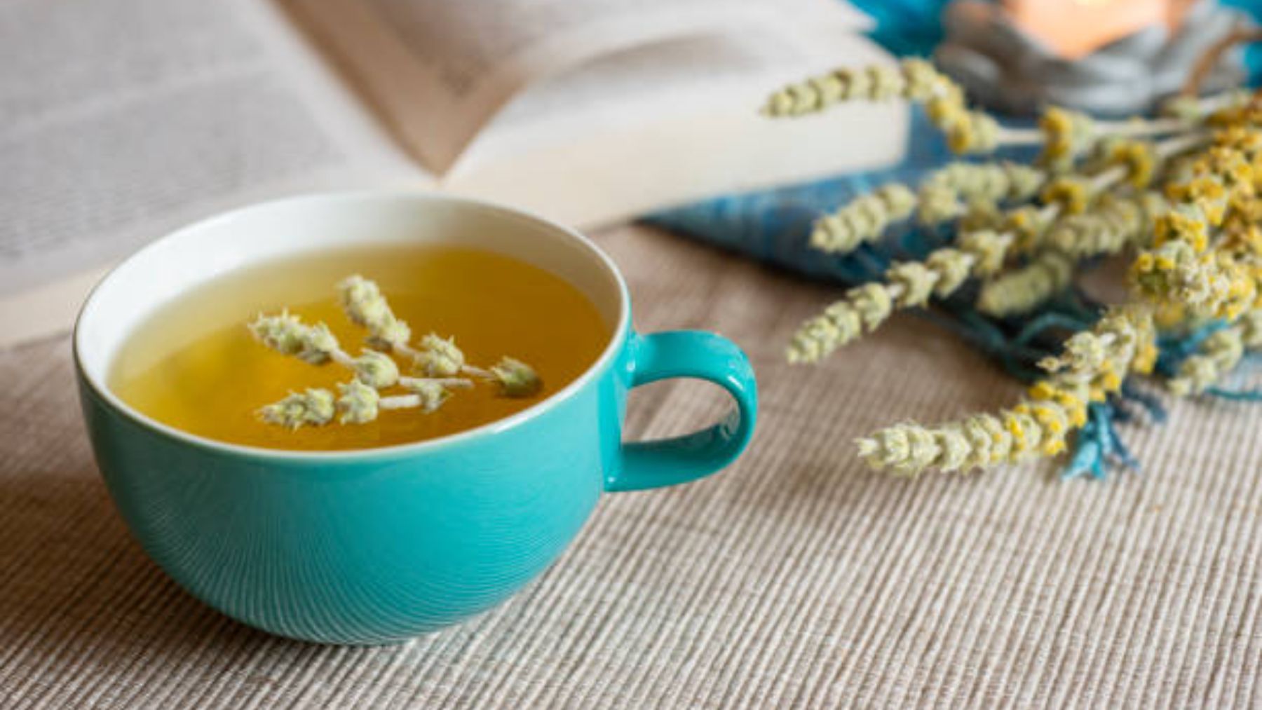 Las propiedades y beneficios del té blanco
