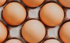 Por qué no debes guardar los huevos en la puerta de la nevera: cambia de hábito