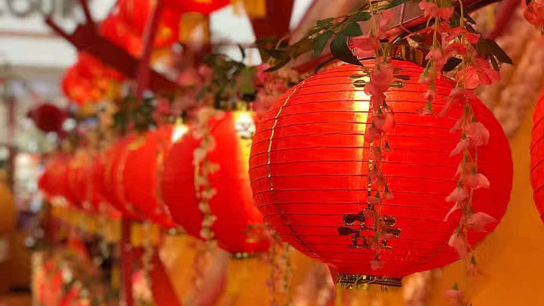 Planes para celebrar el Año Nuevo Chino
