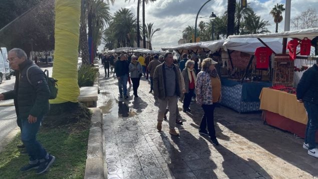 Día de Baleares, Palma, actividades, festivo