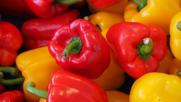 Marruecos pimientos pesticidas