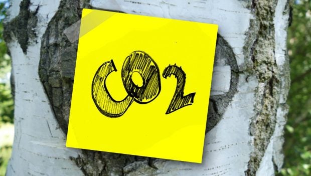 Niveles CO2