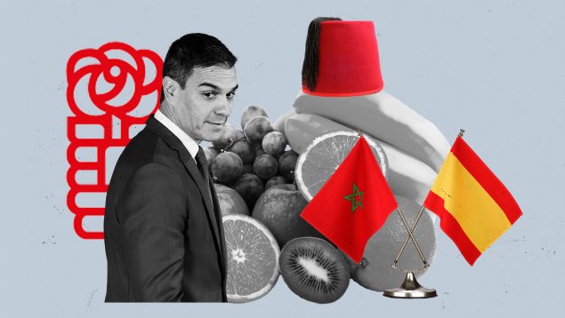 marruecos, importaciones, frutas, fresas, pedro sánchez, agricultores, protestas, alimentos