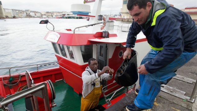 Puerto de Burela, pescadores, lugo, pescado, lonja, deportes, inef, manifestaciones, eléctricas, energéticas, sector energético, eólica marina, teresa ribera, transicion ecologica, constitucional