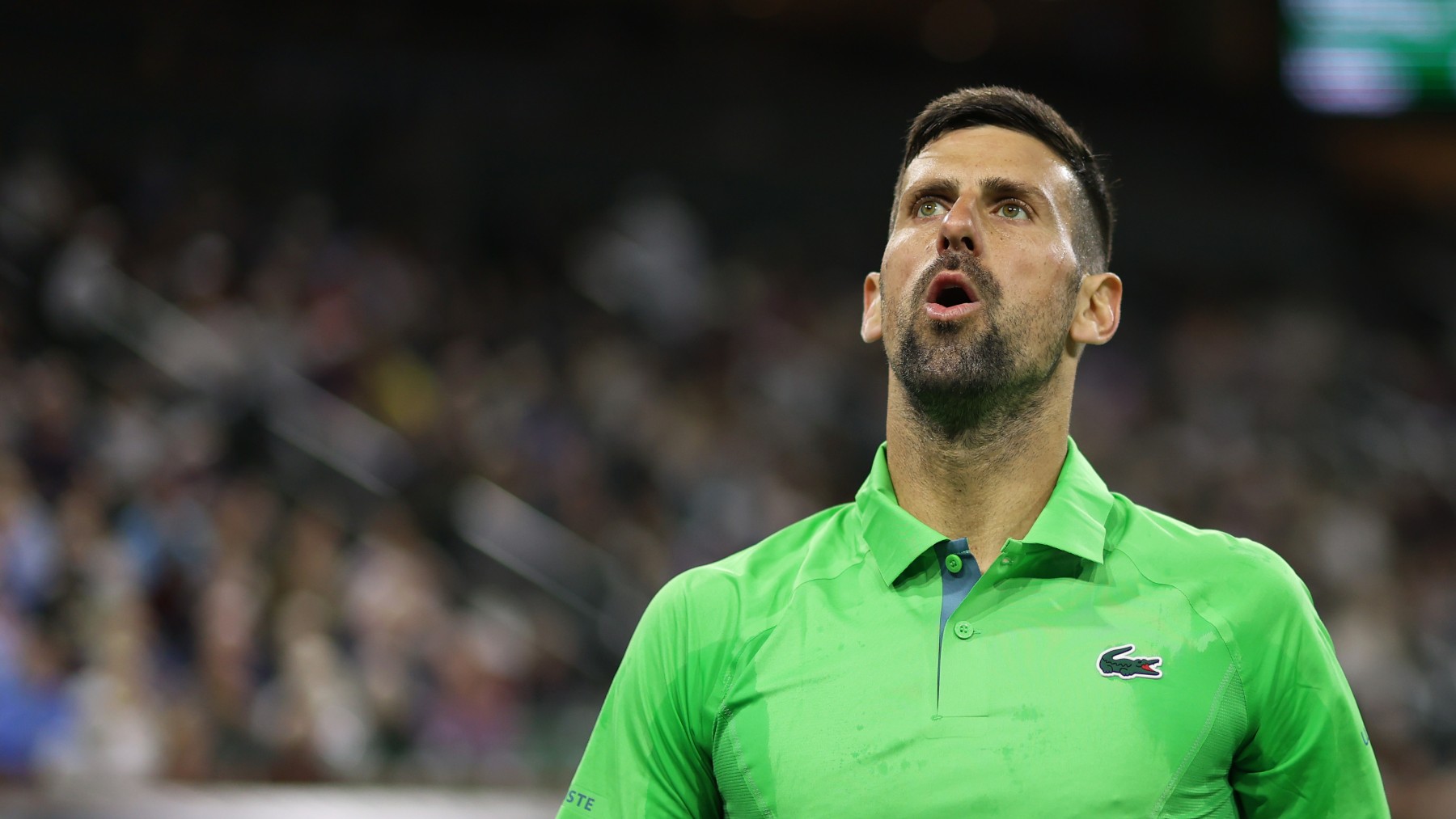 Novak Djokovic resopla en el partido. (Getty)