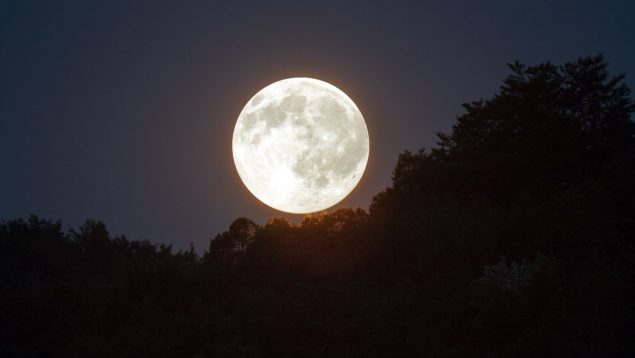 Calendario Lunar 2024: fases de la luna, lluvias de estrellas y todos los eclipses del año