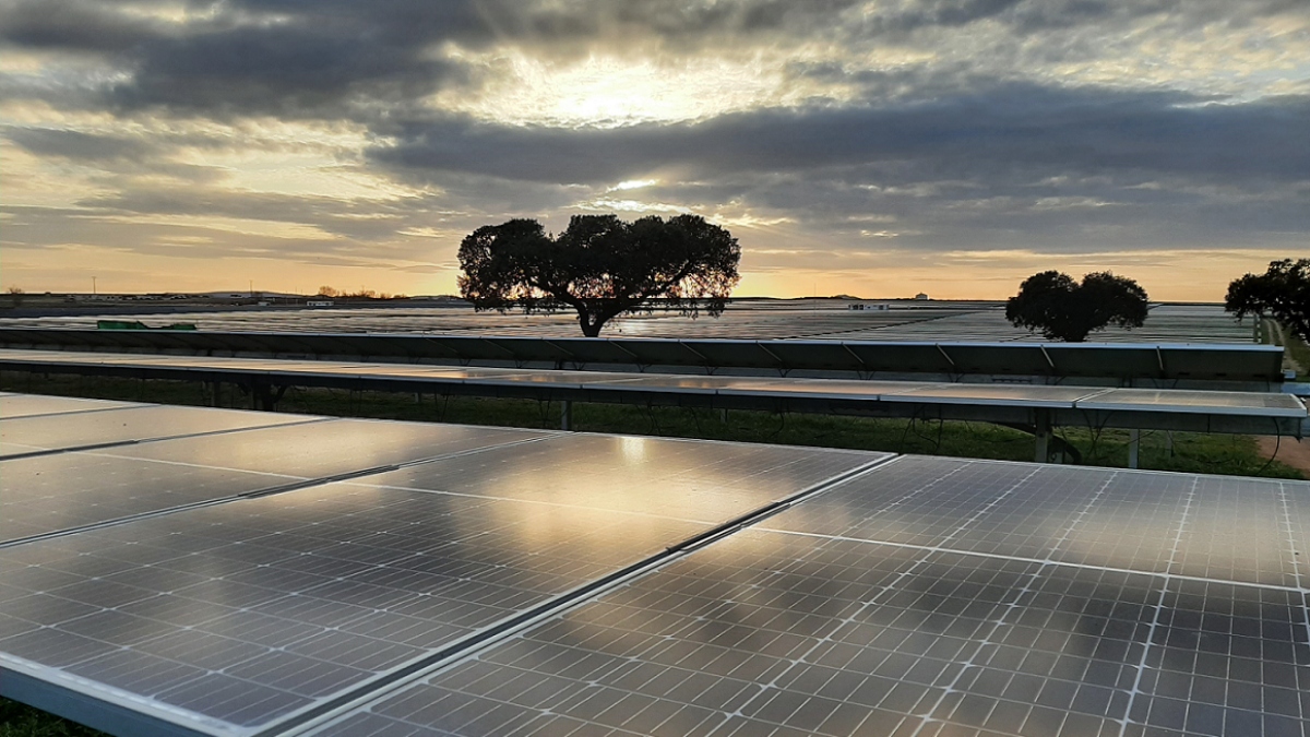 Planta fotovoltaica de Iberdrola en Arenales (Cáceres)