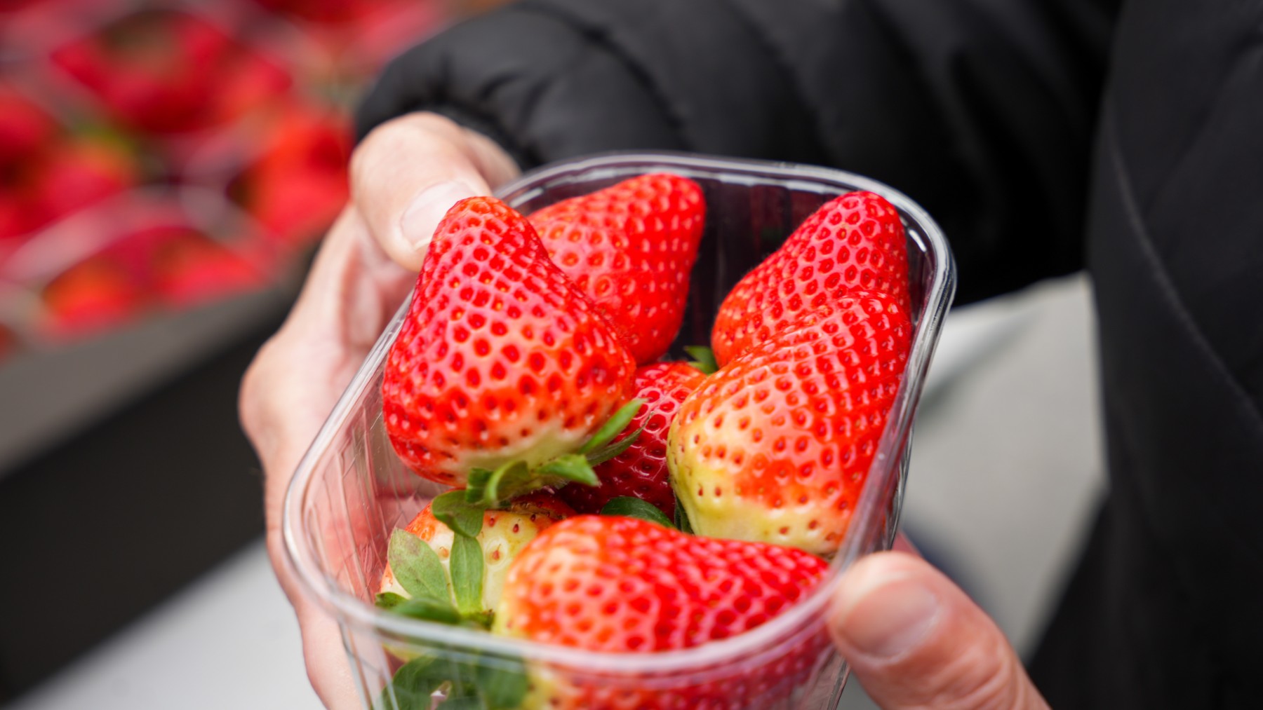 Espinacas con fresas