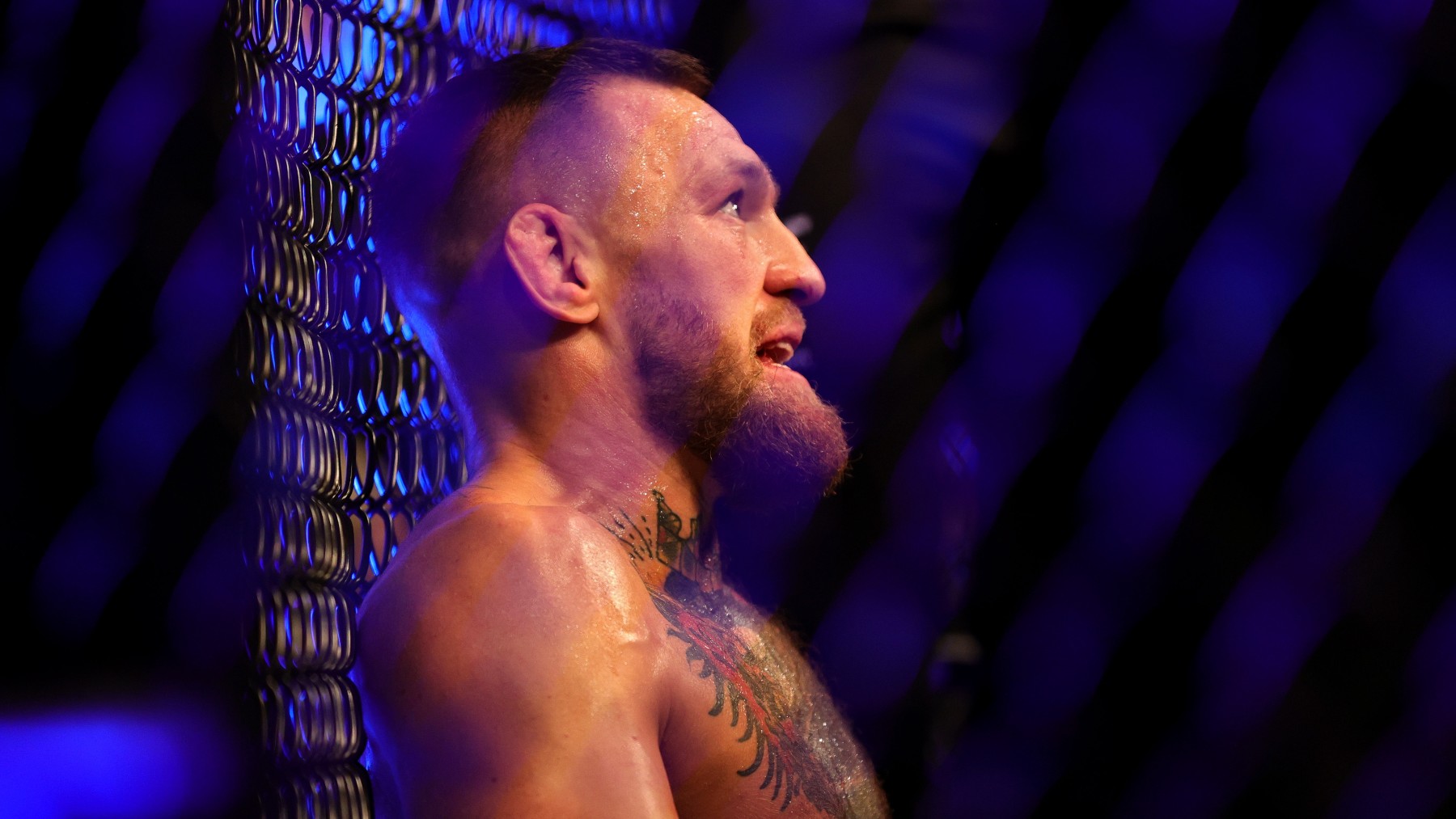 Conor McGregor, en un combate de UFC. (Getty)