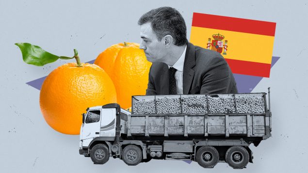 importaciones de naranjas, Marruecos, Pedro Sánchez, agricultores, manifestación, madrid, protestas, tractorada,